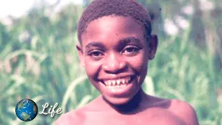 The African Pygmies | WORLD'S SHORTEST TRIBE PYGMIES | Indian history | Amazing Human Civilization