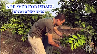 A Prayer for Israel