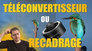 TÉLÉCONVERTISSEUR/MULTIPLICATEUR ou RECADRAGE ?  J'ai été surpris !!