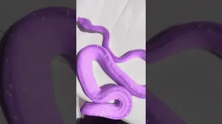 purple snake is dope