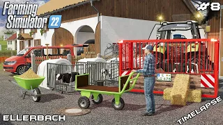 Moving CALVES from COWSHED to IGLOS with @kedex | Ellerbach | Farming Simulator 22 | Episode 8