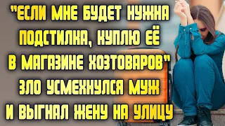 Если мне будет нужна подстилка, куплю в магазине хозтоваров, - зло бросил муж и выгнал жену на улицу