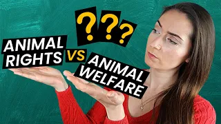 Animal Rights vs Animal Welfare - What's the Difference?