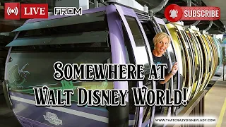 Somewhere in Walt Disney World! #live