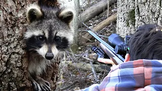 Raccoon Hunting with .22LR (Scope Cam)