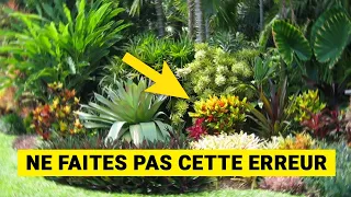 15 Plantes TROPICALES pour Jardin 😍 (Plantes Exotiques)