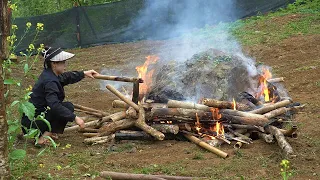 Gardening, Harvesting Garden Vegetables, Cooking, Mountain Life | EP. 30