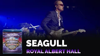 Joe Bonamassa Official - "Seagull" - Tour de Force: Royal Albert Hall