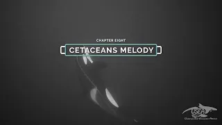 THE CETACEANS MELODY - EXPLORING THE COMMUNICATION OF KILLER WHALES