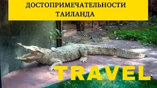 Достопримечательности Таиланда - зоопарк Чиангмая Night Safari Тропа Ягуара