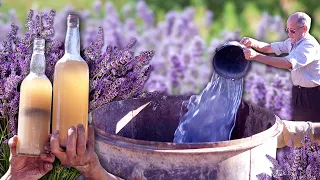 Distillation of lavender to obtain its natural essence in a 100% artisanal way in the mountains