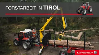 Forstarbeit in Tirol