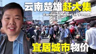 中國火城楚雄趕集，山珍奇貨琳瑯滿目，逛一天都不夠！🇨🇳 Food Market in Chuxiong Yunnan！