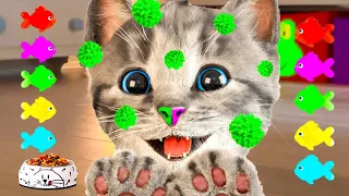 LITTLE KITTEN ADVENTURE COMPILATION - CUTE KITTY AND FUN LEARNING GAMES FOR TODDLERS - LONG SPECIAL
