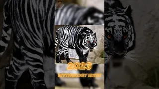 2023 black tiger vs 5000 bce black tiger warrior #viral #shorts