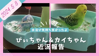 また...ふたり一緒に産卵&抱卵してました💦