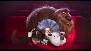 Тайная жизнь домашних животных / The Secret Life of Pets (2016) Успей занять места