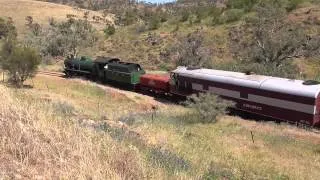 Pichi Richi Railway: Steam & Diesel Double Header