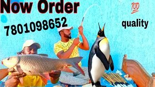 Fishing Rods | India No 1 quality 💯 | Singh Shikar Technique | Hyderabad Fishing Techniques