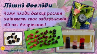 Цікаві досліди з плодами. Чому змінюється колір?! 🧐