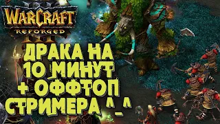 Драка на 10 минут: Командная лига в Warcraft 3 Reforged