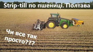 Strip-till по пшениці. Stripcat II з бункером DSF на Полтавщині. Чи все так просто????