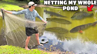 NETTING RELEASED PET FISH In My BACKYARD POND!