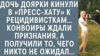 Дочь доярки кинули в пресс-хату к рецидивисткам… Конвоиры ждали признания, но от ответа вздрогнули…