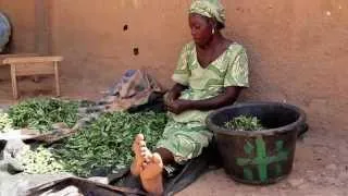 L'agriculture biologique au Burkina Faso - La meilleure réponse aux effets du changement climatique