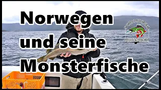 Norwegen Trip Anreise und die ersten Monsterfische