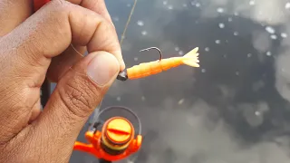 INCRÍVEL! micro camarão nas pedras na pescaria ULTRALIGHT.