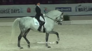 Katarzyna Milczarek i Ekwador - Warsaw Horse Days - 26.03.2011