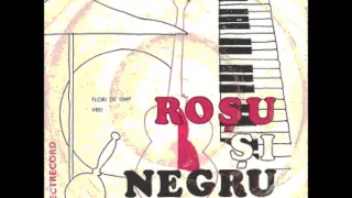 ROȘU și NEGRU - Flori de timp / Vrei (Single 1977)