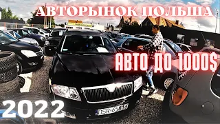 Авторынок Польша 2022 | Цены на авто | Где купить машину | MILLIONCAR | Tanie Autka Radwanice | 2022