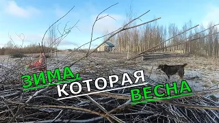 ЗАРИСОВКИ ИЗ ЖИЗНИ, БУДНИ НА СЕМЕЙНОЙ ФЕРМЕ