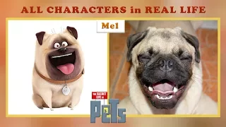 The Secret Life Of Pets REAL LIFE All Characters | BEST VIDEO!