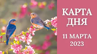 11 марта🌷Карта дня. Развернутый Таро-Гороскоп/Tarot Horoscope+Lenormand today от Ирины Захарченко.