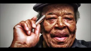 James Cotton Blues Band Live at Bluebird Stage, Blues On The Fox,  Aurora, IL - 2003 (audio only)