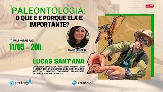 Paleontologia: o que é e porque ela é importante?