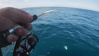 Micro jigging kangaroo island