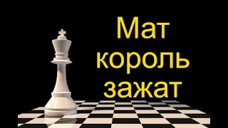 Шахматы. Мат король зажат - полный ералаш