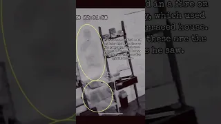Salon claims to have caught ghosts on CCTV #ghostcaughtoncam #ghost #hauntingstories #ghoststory