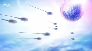 Frozen Sperm Can Survive Outer Space Conditions, Study Finds