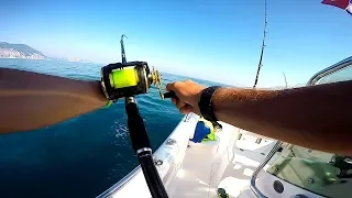 Dolphin and Tunas from the Boat! End of Summer 2018