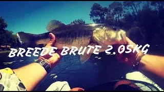 Breede Brute 2,05KG Largemouth Bass