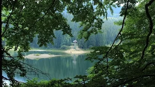 КАРПАТИ: Синевир, Шипіт, Міжгірʼя.