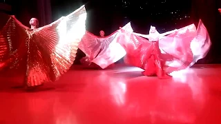 СВТ "яэль"  Шоу Belly-dance. Танец с крыльями