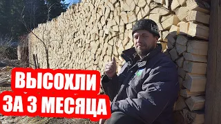 ВСЁ о заготовке дров в ОДНОМ ВИДЕО! От распиловки бревна до сухого полена