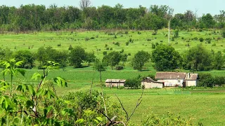 Um dia no campo e na fazenda para curtir e relaxar. Som de animais na fazenda.