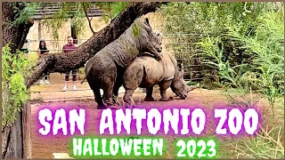 San Antonio Texas Zoo Fall 2023 Halloween Season